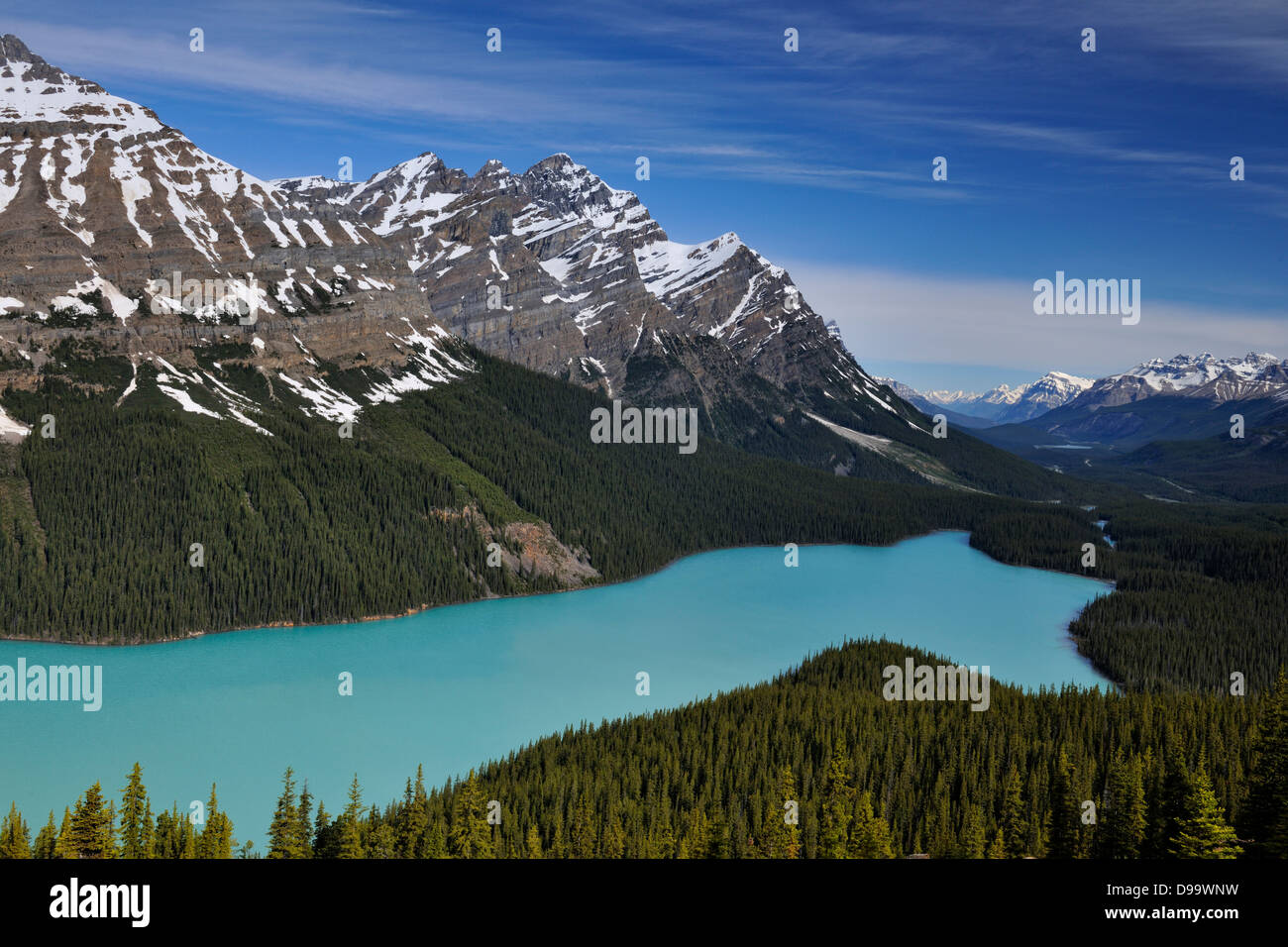 Peyto Lake Banff National Park Alberta Canada Stock Photo - Alamy
