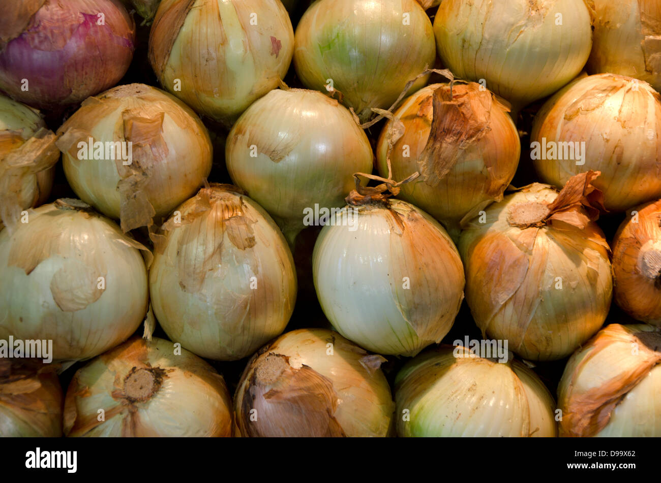 Stacked onions at a covered market in Andalusia. Spain. Stock Photo