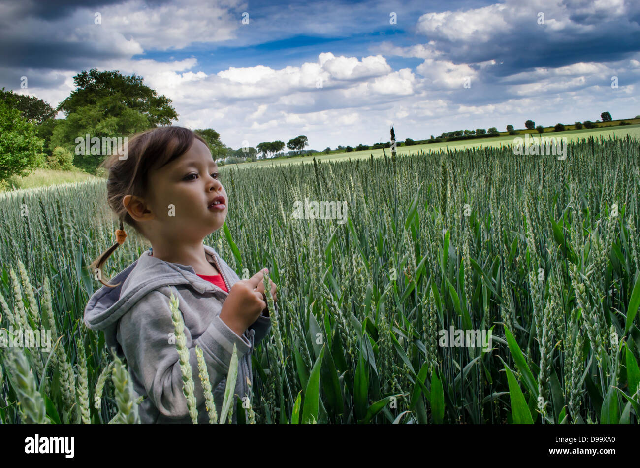 Young Girl in field of wheat Stock Photo - Alamy