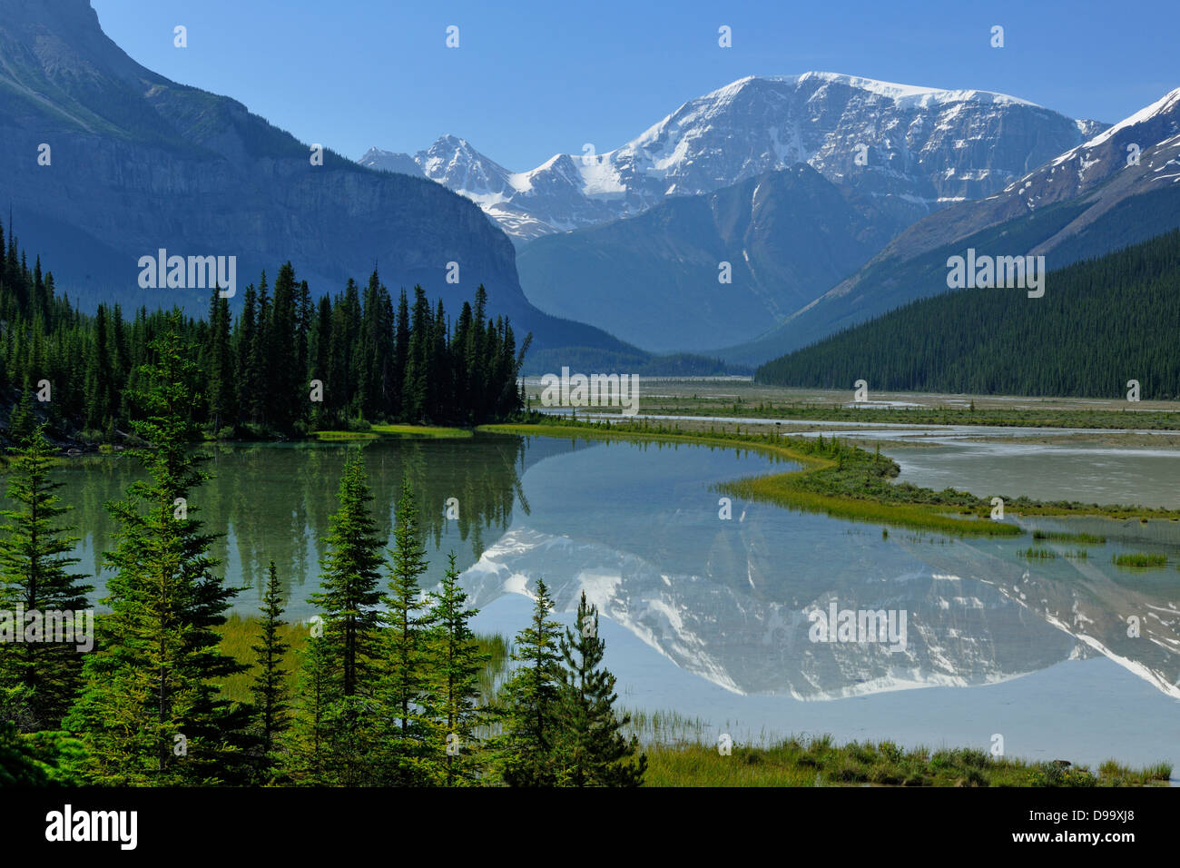 Mt. Kitchener reflected in the Beauty Creek pool near the Sunwapta River Jasper National Park Alberta Canada Stock Photo
