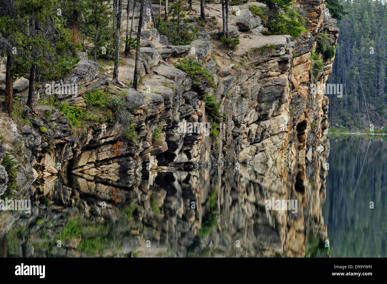 Reflections in Horseshoe Lake Jasper National Park Alberta Canada Stock