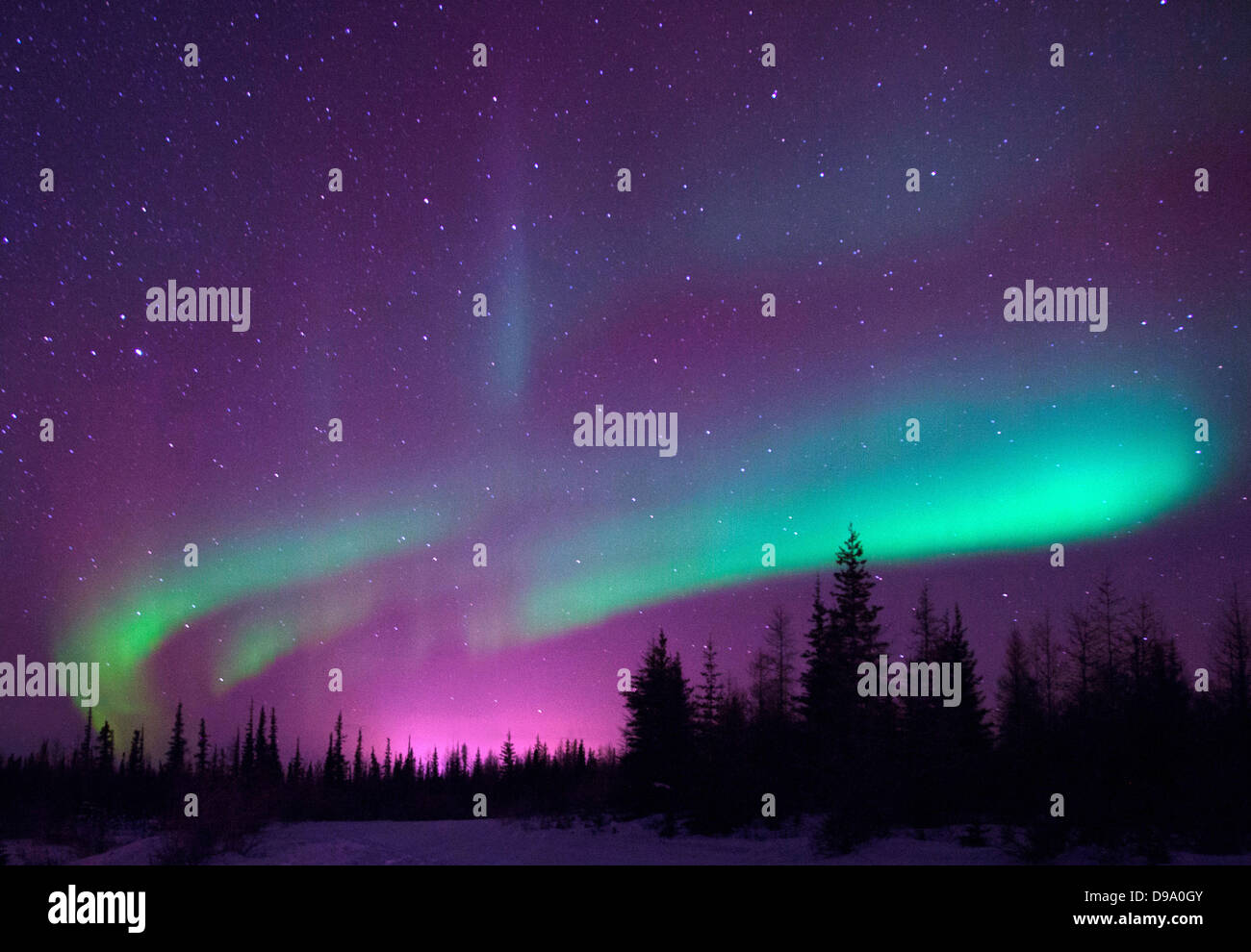 Northern Lights of Churchill , Manitoba Stock Photo Alamy