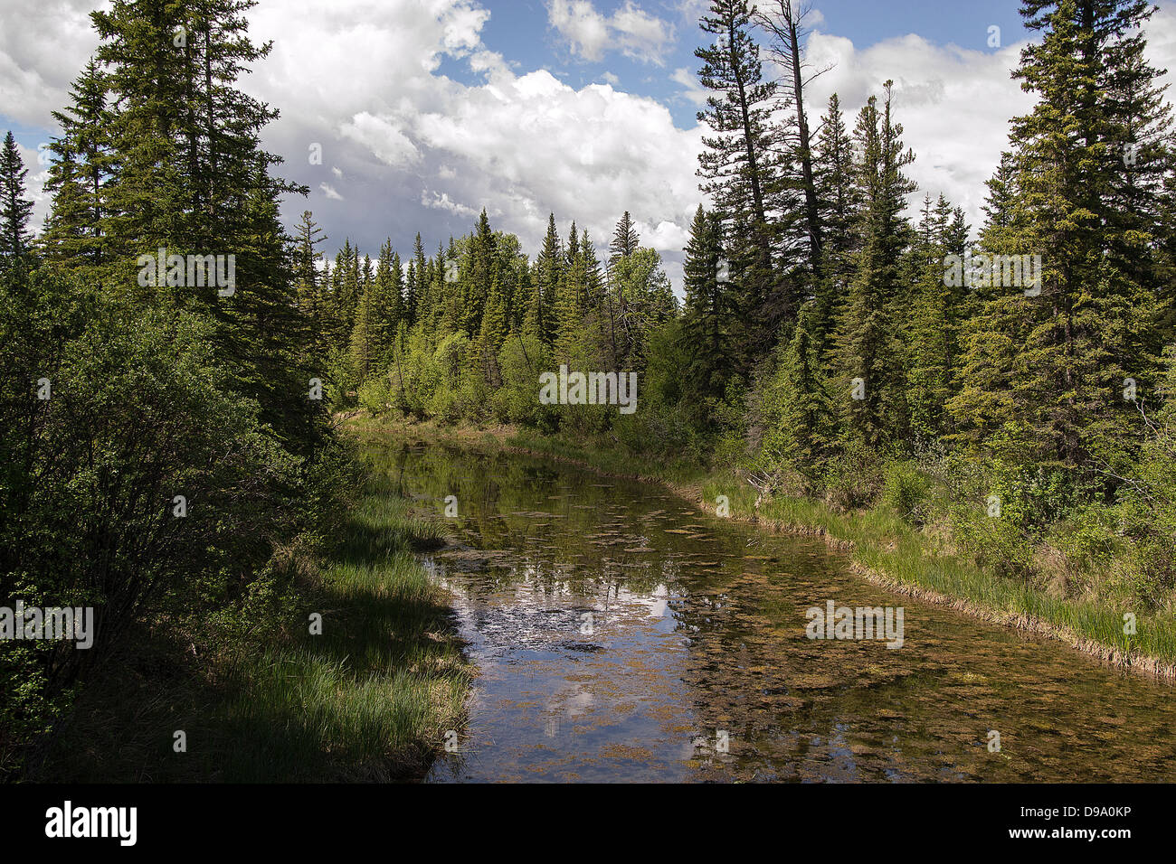 Elbow river, landscape, river, storm, thunder, spring, summer, hike, path, fishing, forest, farm, fence, clouds Stock Photo