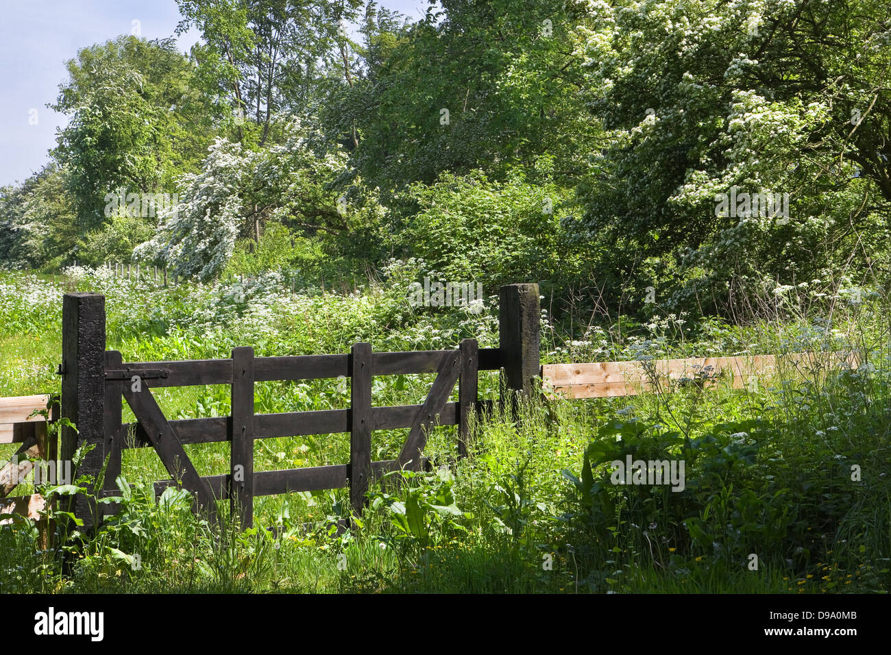 Fence with trees hi-res stock photography and images - Alamy
