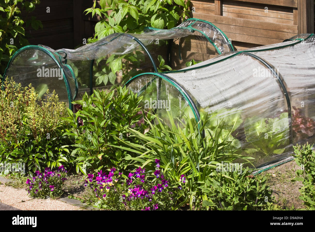 Fruit- and grocery plants in small greenhouses to cultivate by children in a corner of the garden Stock Photo