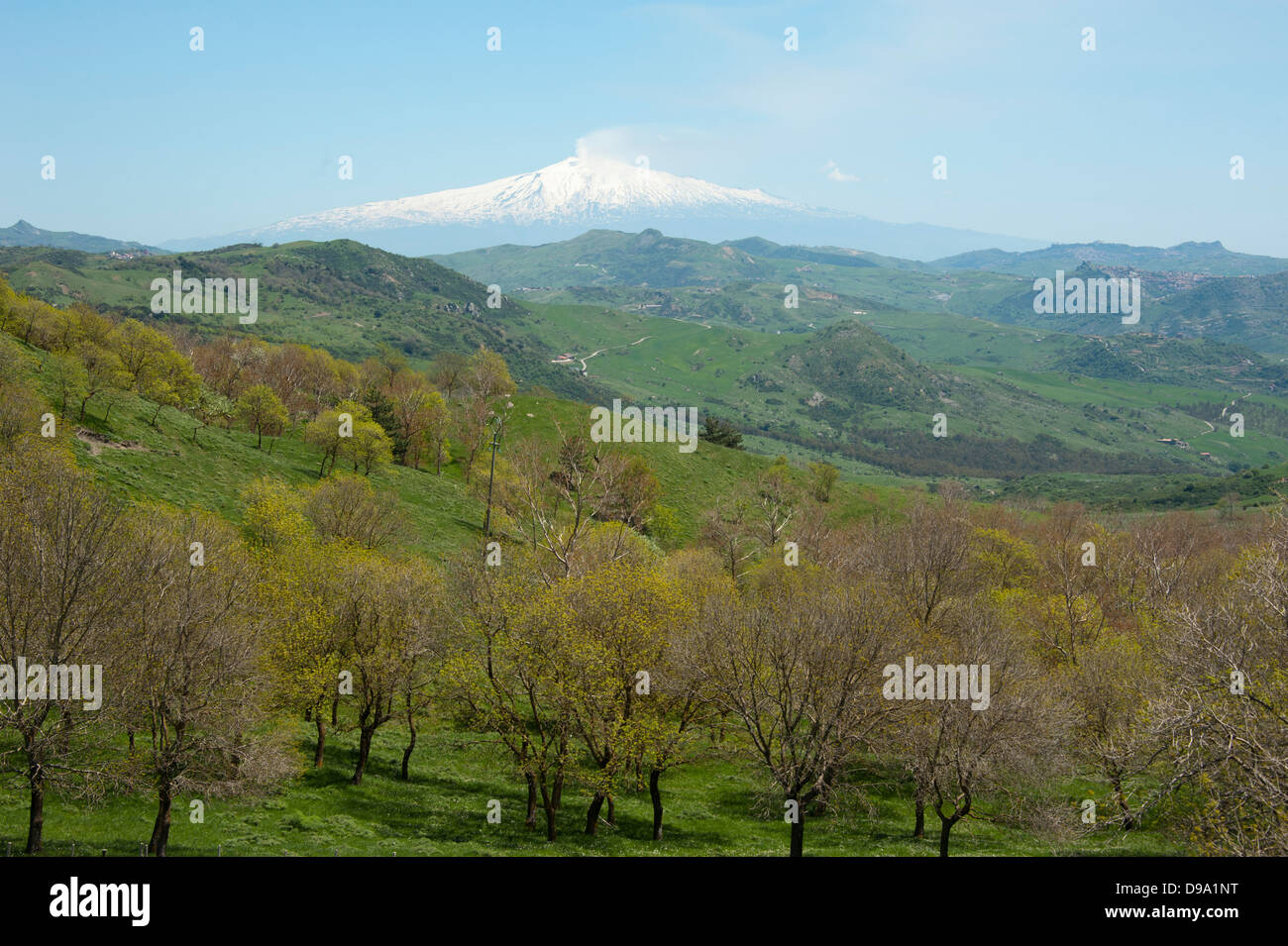 Mount Etna, Coll del Contrasto, SS117, Sicily, Italy, volcano, province Messina , Vulkan Aetna, Coll del Contrasto, SS117, Sizil Stock Photo
