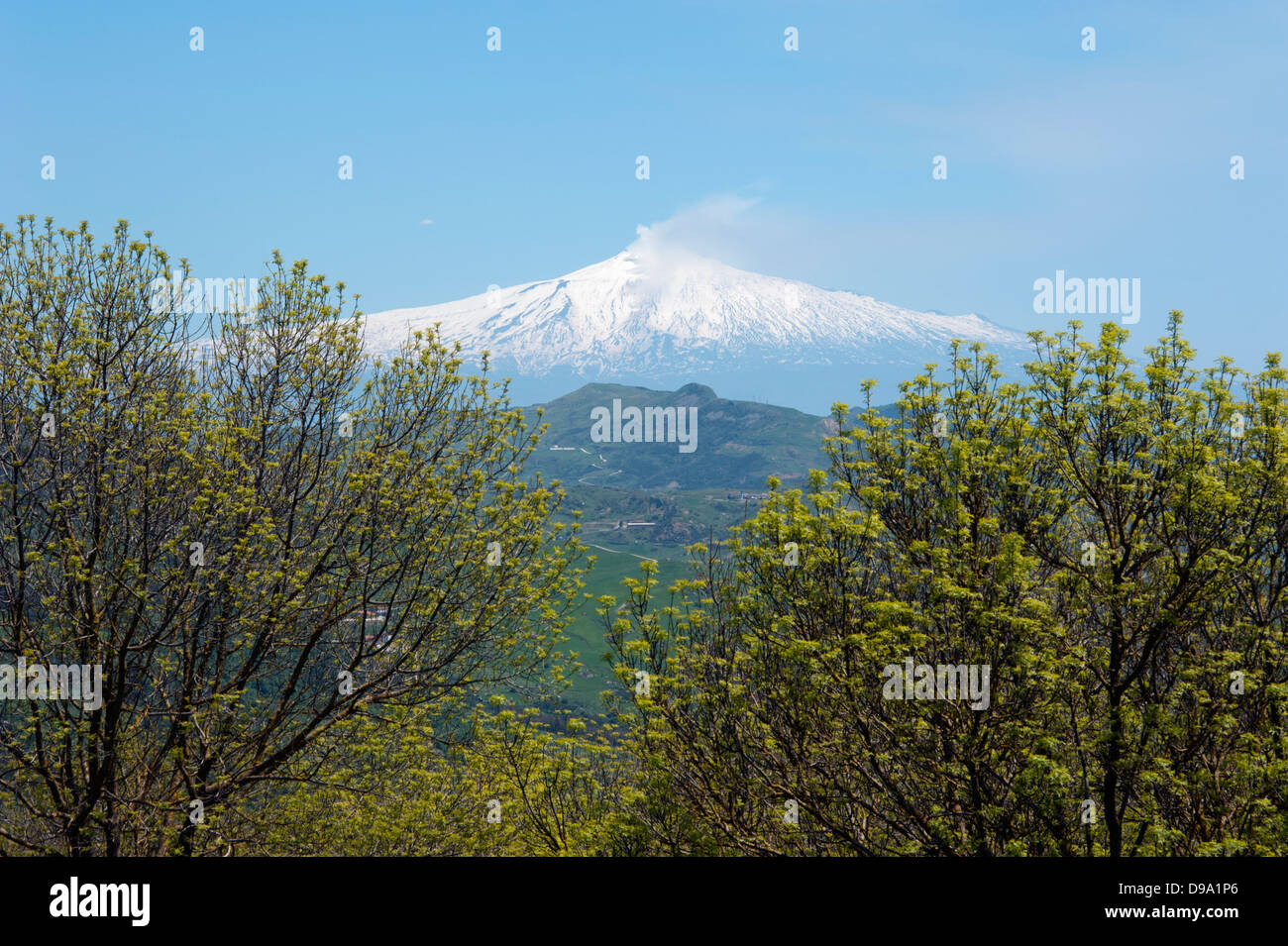 Mount Etna, Coll del Contrasto, SS117, Sicily, Italy, volcano, province Messina , Vulkan Aetna, Coll del Contrasto, SS117, Sizil Stock Photo