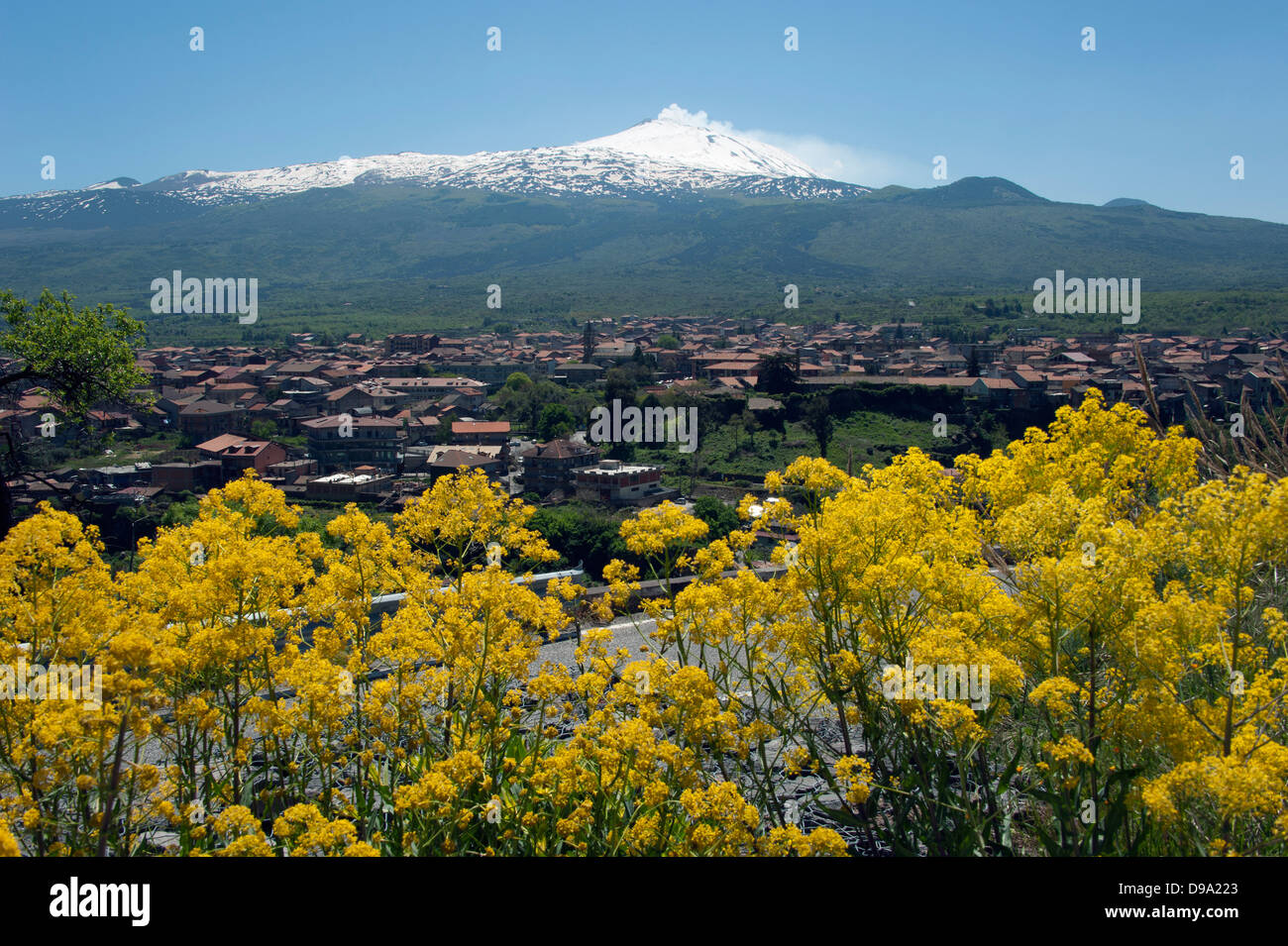 Mount Etna, Randazzo, Sicily, Italy, volcano, province Catania , Vulkan Aetna, Randazzo, Sizilien, Italien, Provinz Catania Stock Photo