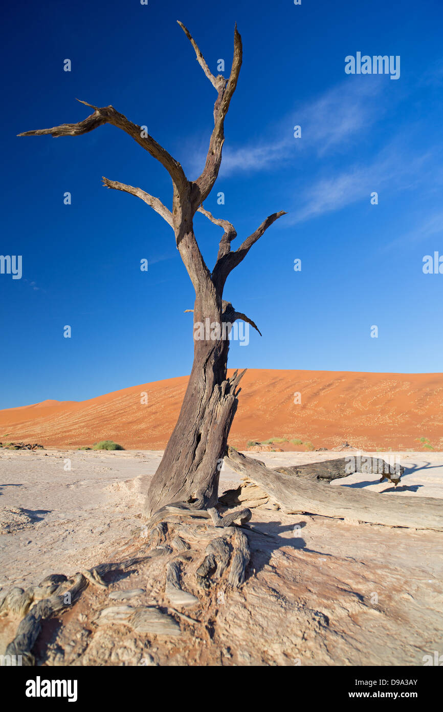 Sossusvlei, Sossusvlei, Sesriem, Namib, Namibia, desert, Wüste, Wueste Stock Photo