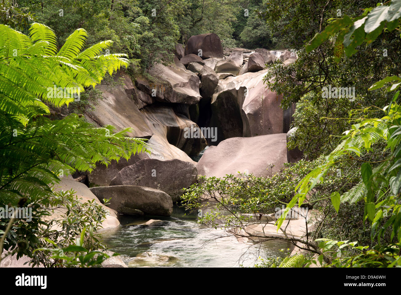 Rainforest scenery at the Babinda Boulders, Far North Queensland, Australia Stock Photo