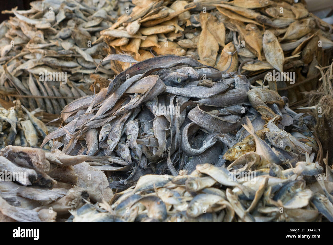 Asia, India, Karnataka, Madikeri, dried fish on the market Stock Photo