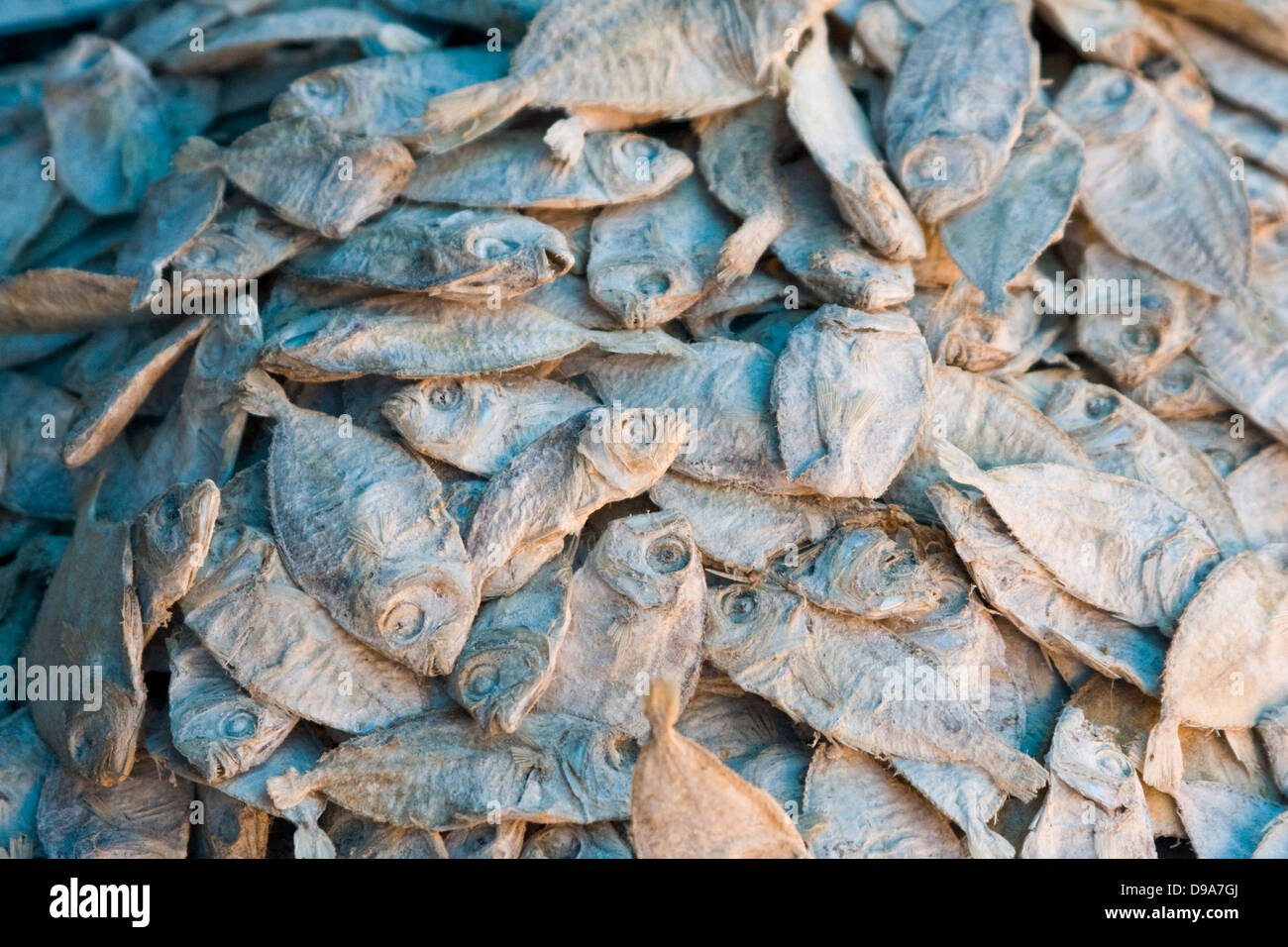 Fish Drying On Frame High Resolution Stock Photography and Images Alamy