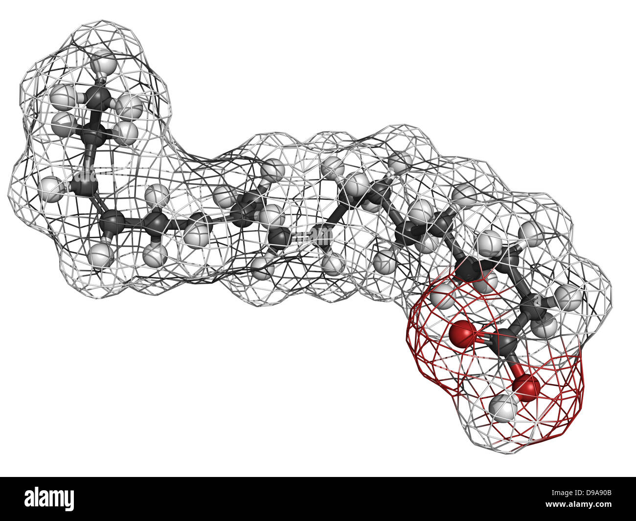 Omega3 unsaturated fatty acid (alphalinolenic acid), molecular model