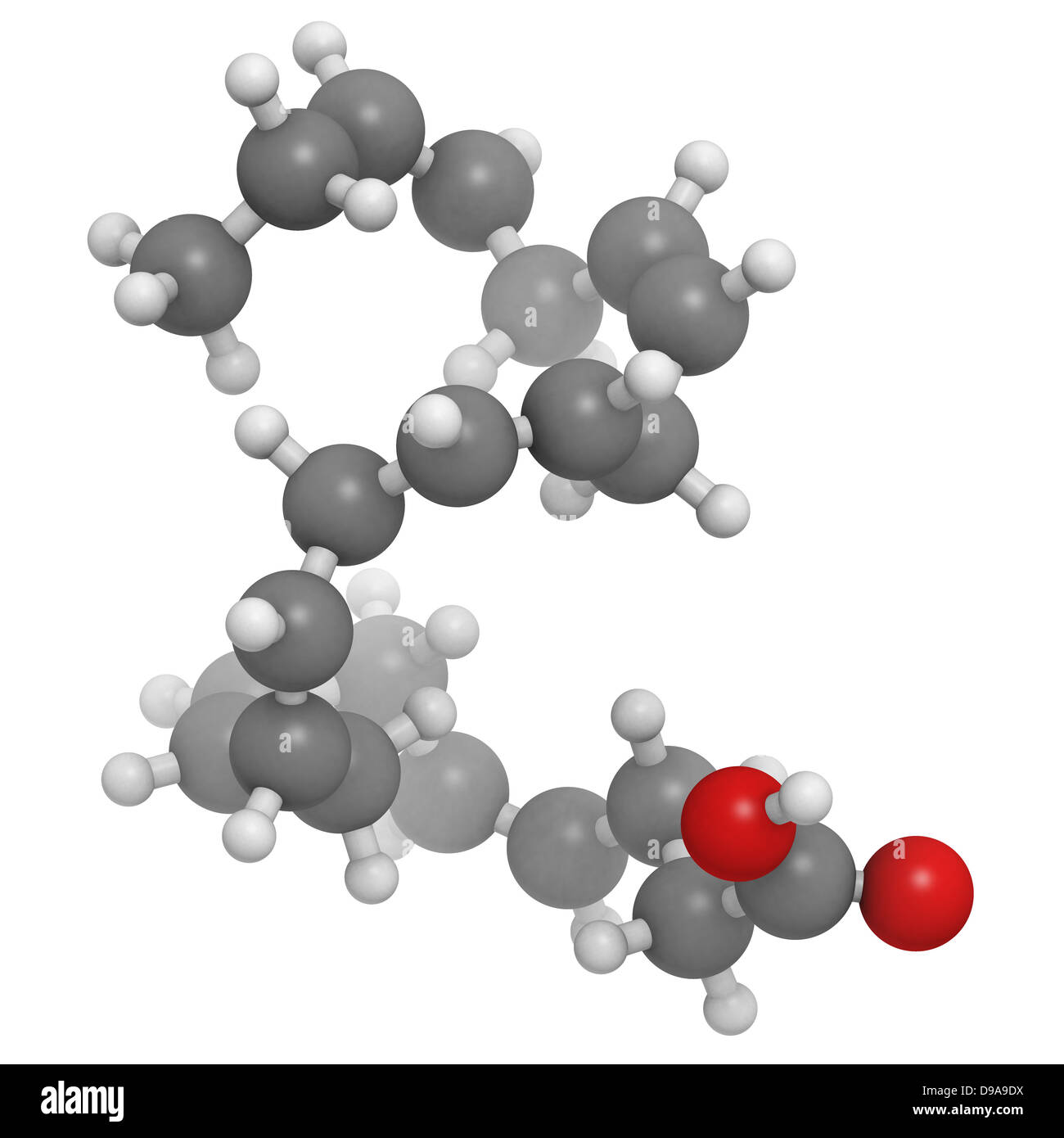 Omega3 fatty acid docosahexaenoic acid, DHA, molecular model. Atoms