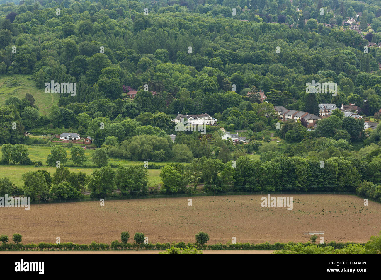 Surrey from Box Hill Stock Photo Alamy