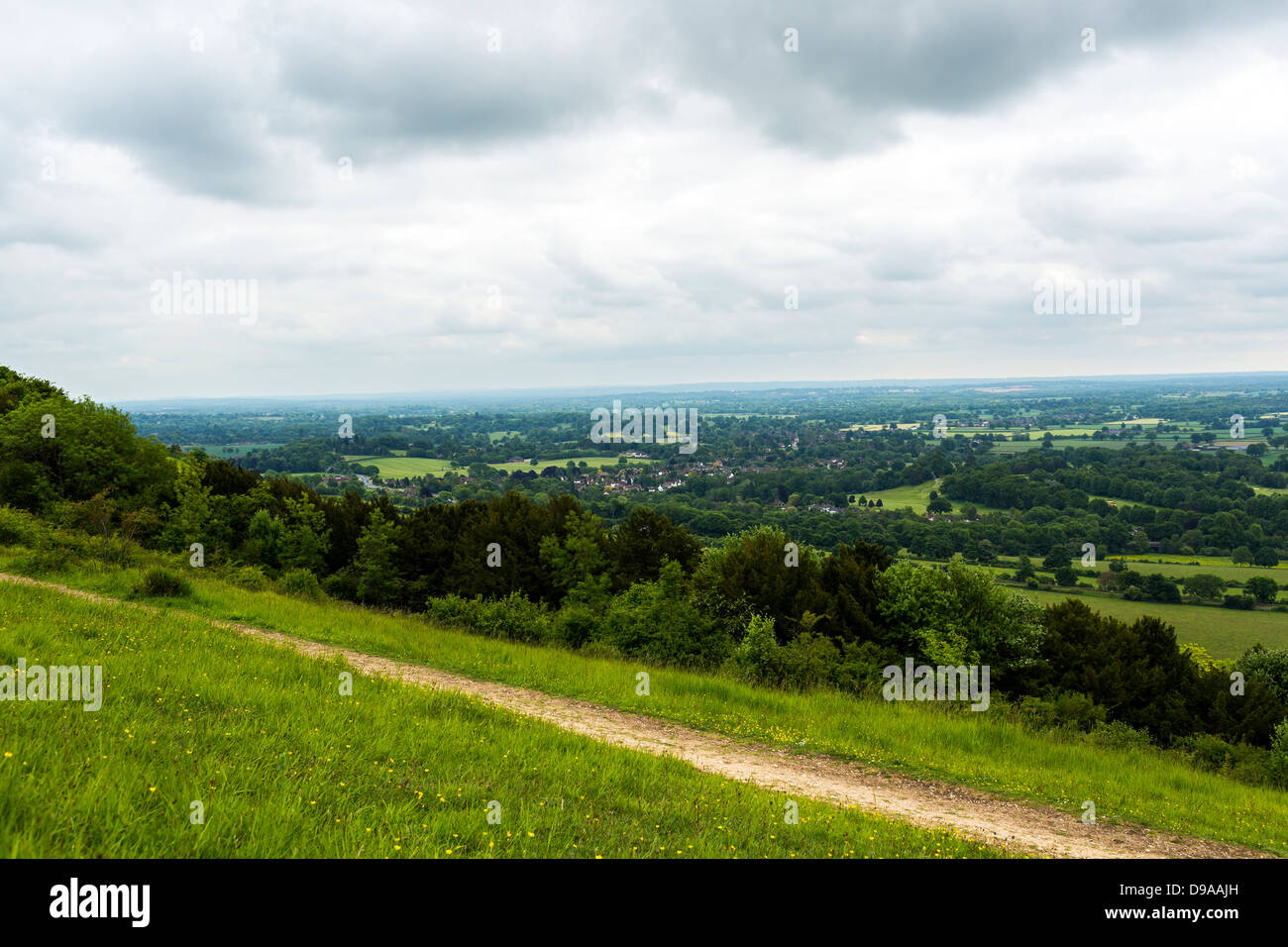 Surrey from Box Hill Stock Photo Alamy