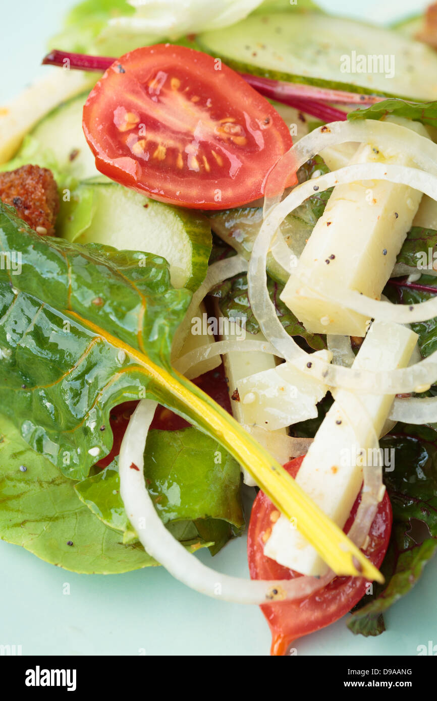 Mixed salad closeup Stock Photo