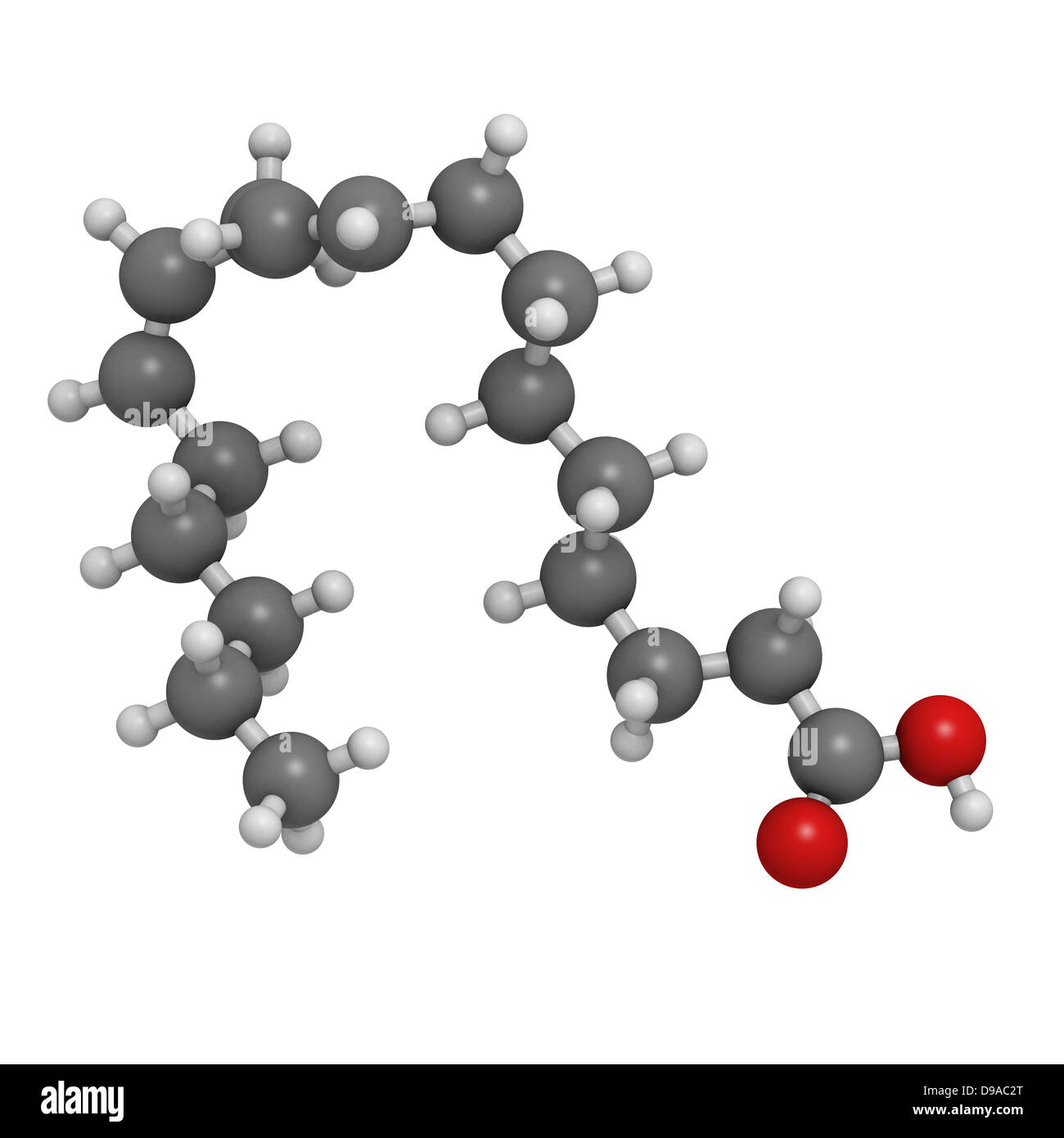 Omega6 unsaturated fatty acid (linoleic acid, LA), molecular model