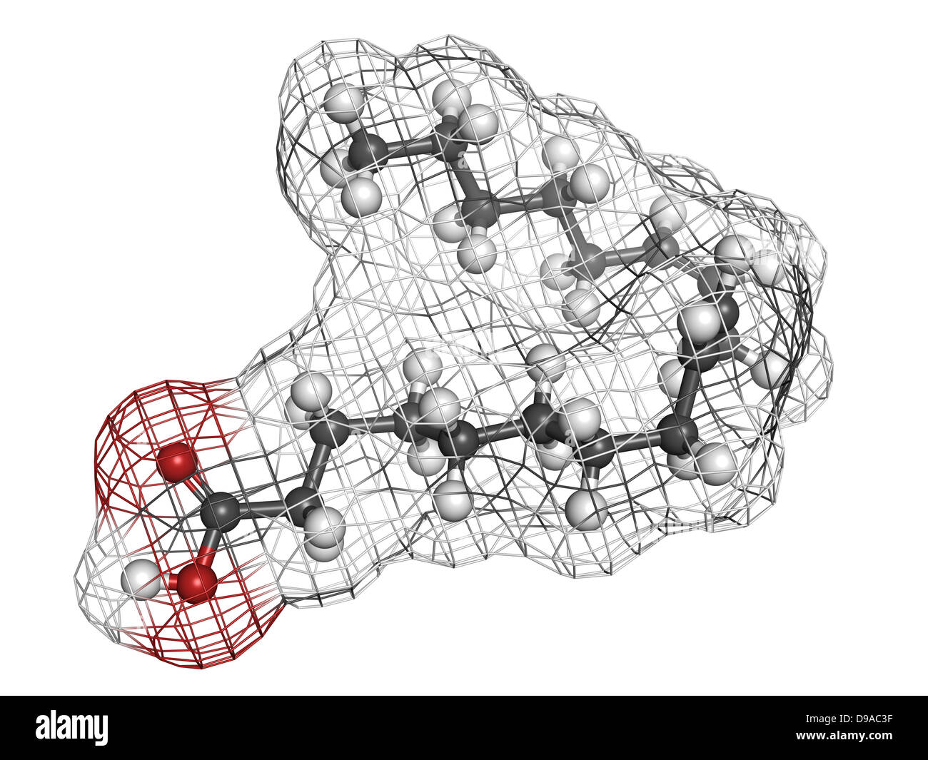 Omega6 unsaturated fatty acid (linoleic acid, LA), molecular model