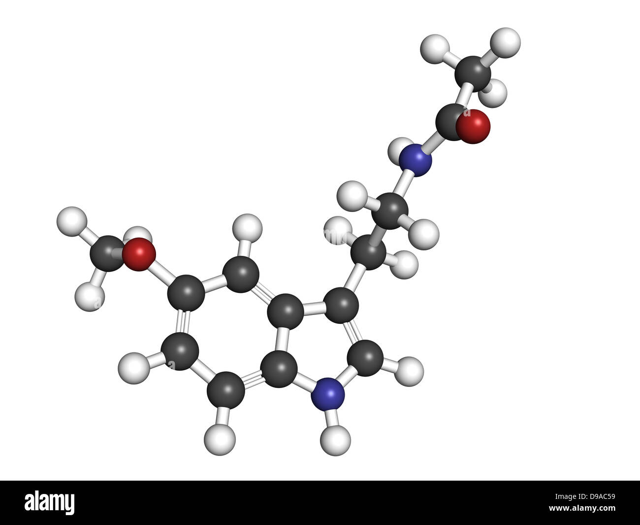 melatonin hormone, molecular model. Melatonin plays a role in