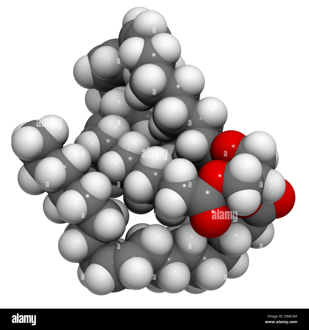 Triglyceride Molecule
