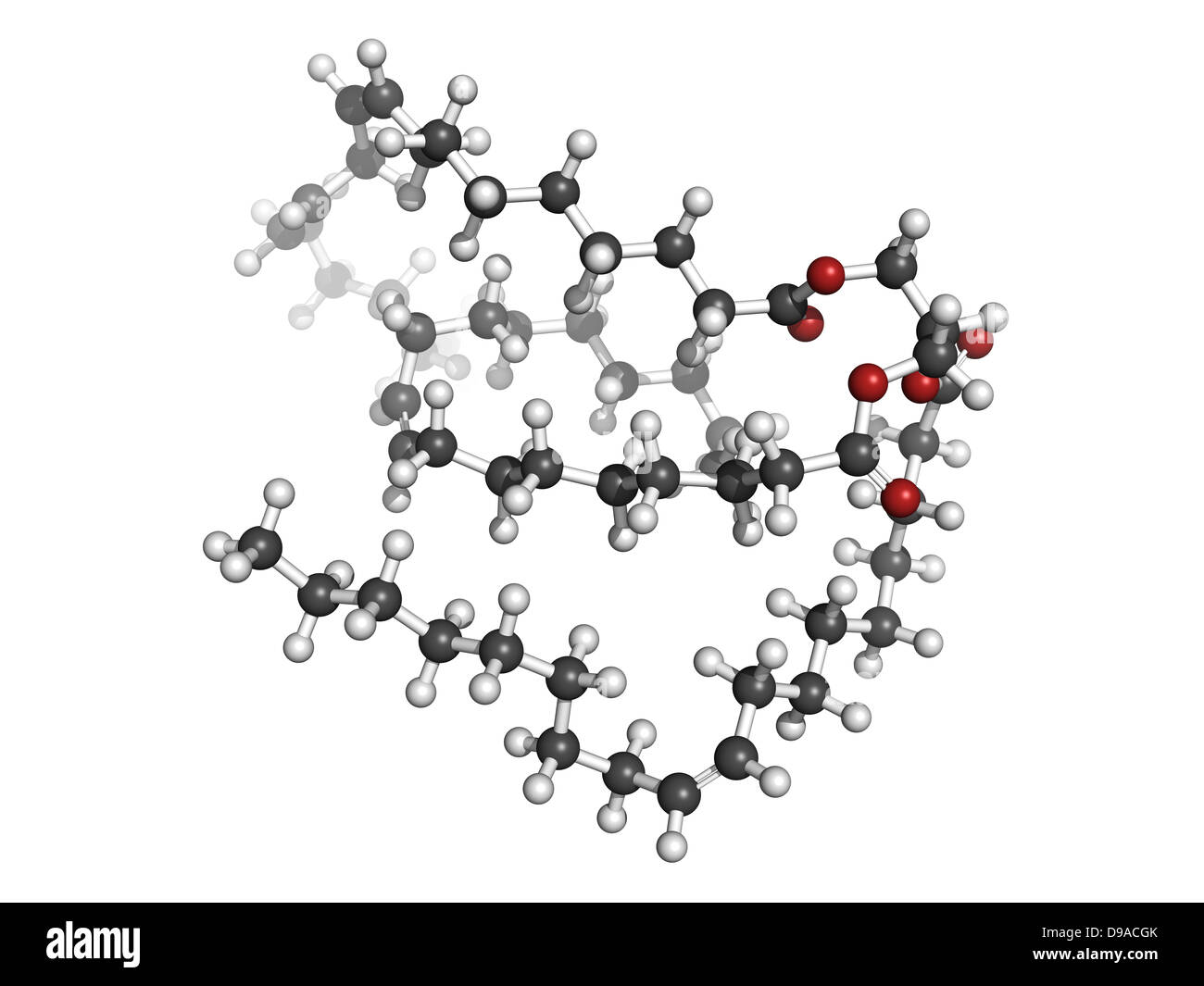 Vegetable Oil Unsaturated Triglyceride Molecule Chemical Structure 