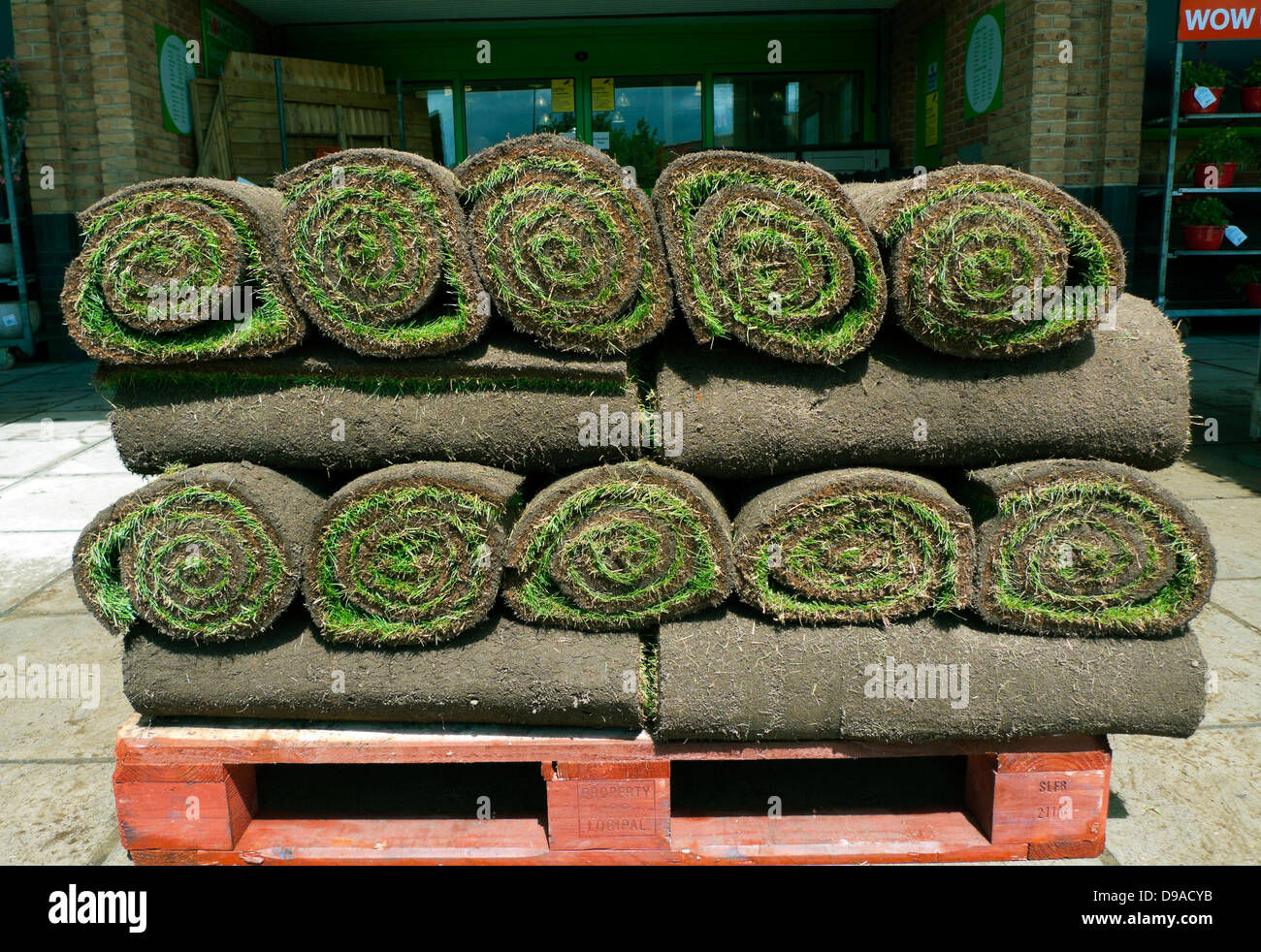 Rolls of turf for creating new grassy lawns for sale on pallets outside