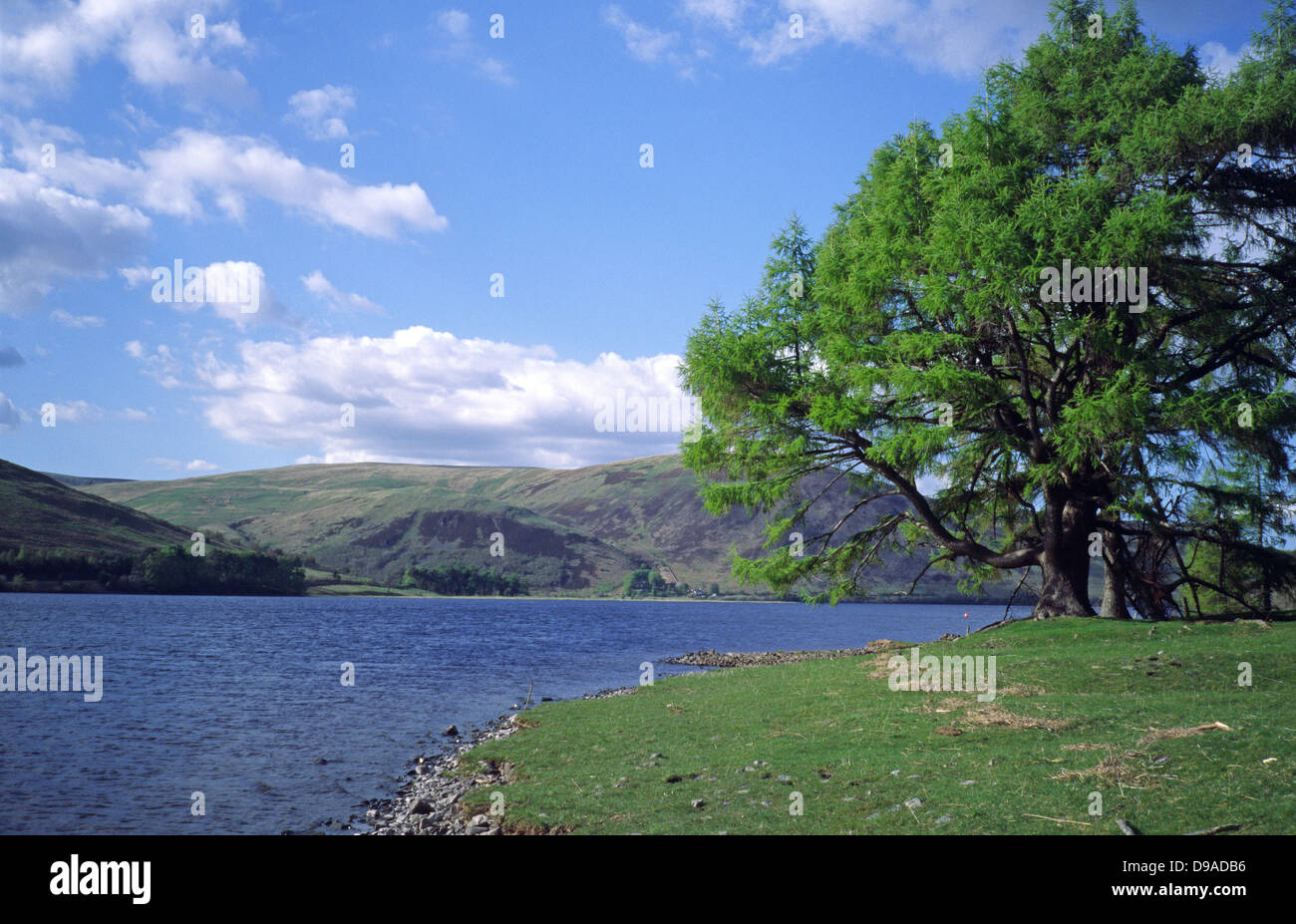 St Mary's Loch, Upper Yarrow Valley, Borders, Scotland Stock Photo Alamy