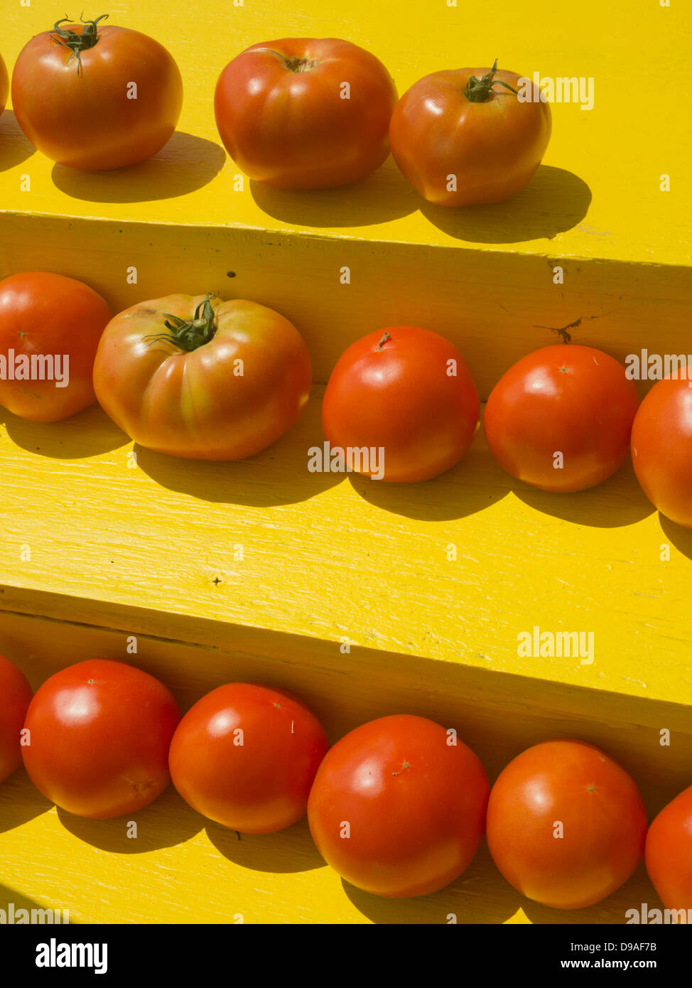 New Jersey Beefsteak Tomatoes at a roadside stand Stock Photo