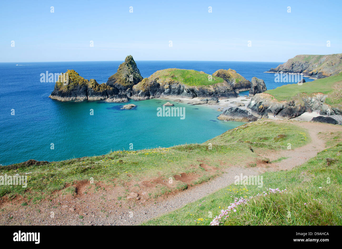 The south west coast path near to Kynance cove on the Lizard peninsular in Cornwall, UK Stock Photo
