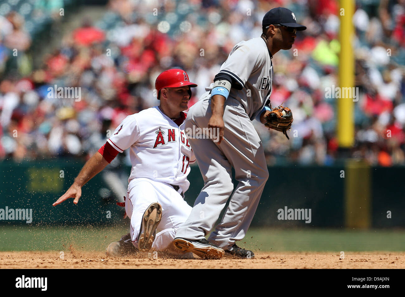 MLB Memorial Day USMC Camo Jersey (Los Angeles Angels of Anaheim