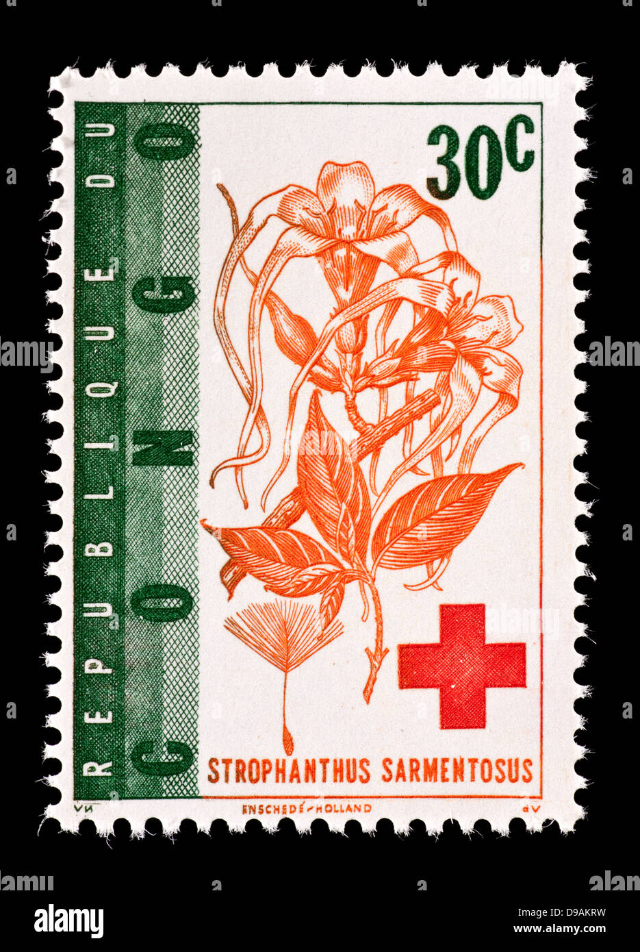Postage stamp from the Congo Democratic Republic depicting dogbane (Strophanthus sarmentosus),  for the International Red Cross. Stock Photo