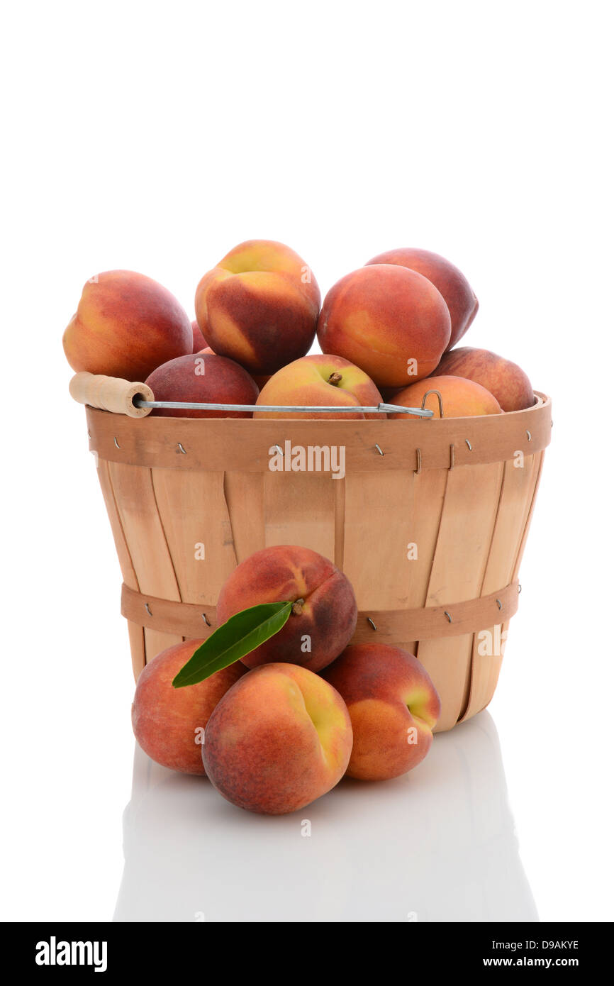 A bushel basket full of fresh picked yellow peaches, with a stack of