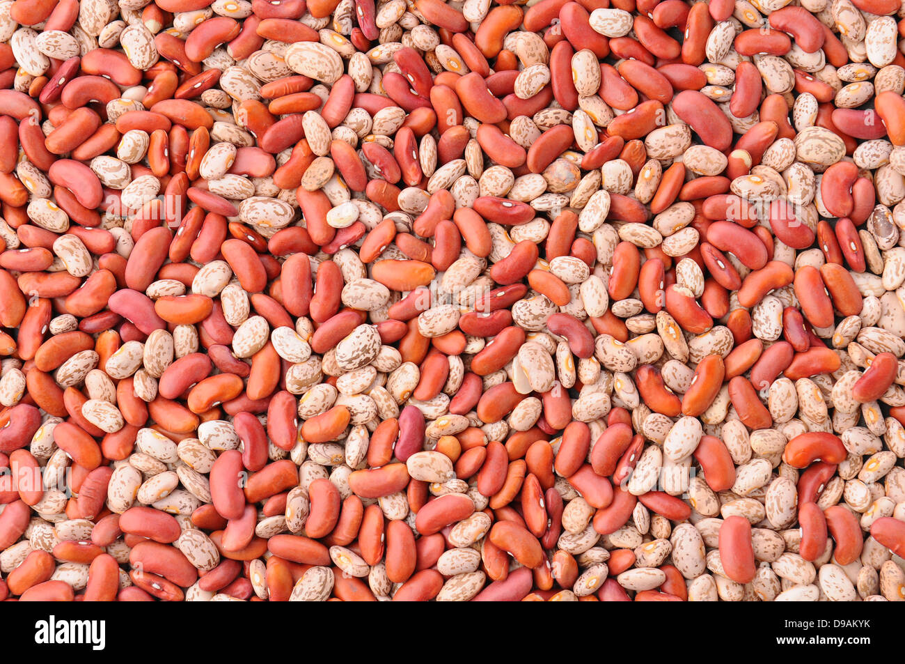 Closeup of a mass of red kidney and pinto beans, fills the frame Stock