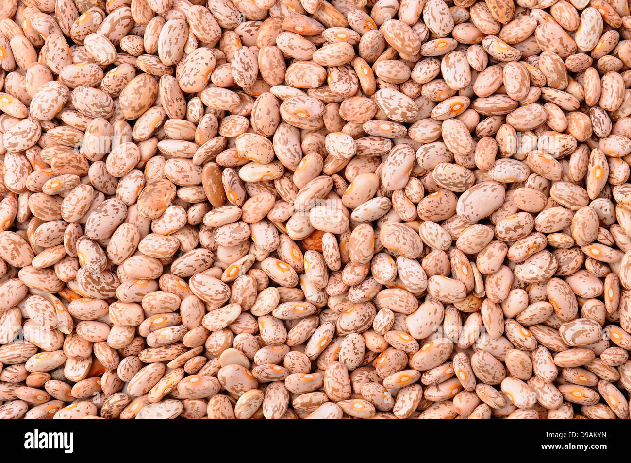 Closeup of a mass of pinto beans, fills the frame. Stock Photo