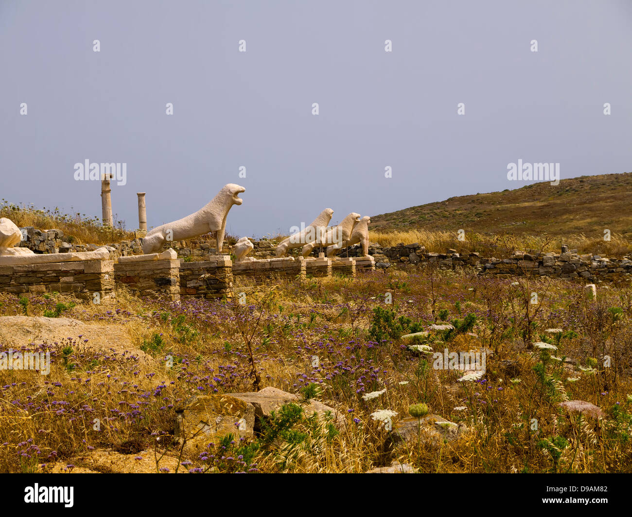 The iconic Lions of Delos on the Temple Island of Delos in the Cyclades ...