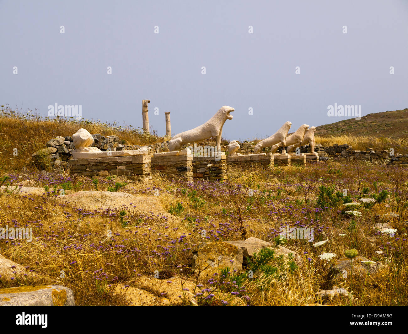 The iconic Lions of Delos on the Temple Island of Delos in the Cyclades ...