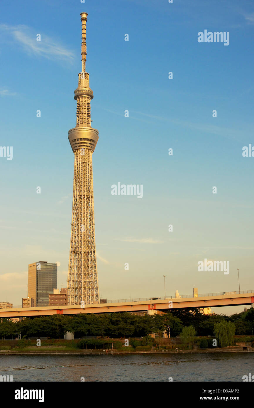 Tokyo Sky Tree by Sumida River in evening Golden Hour Glow Stock Photo