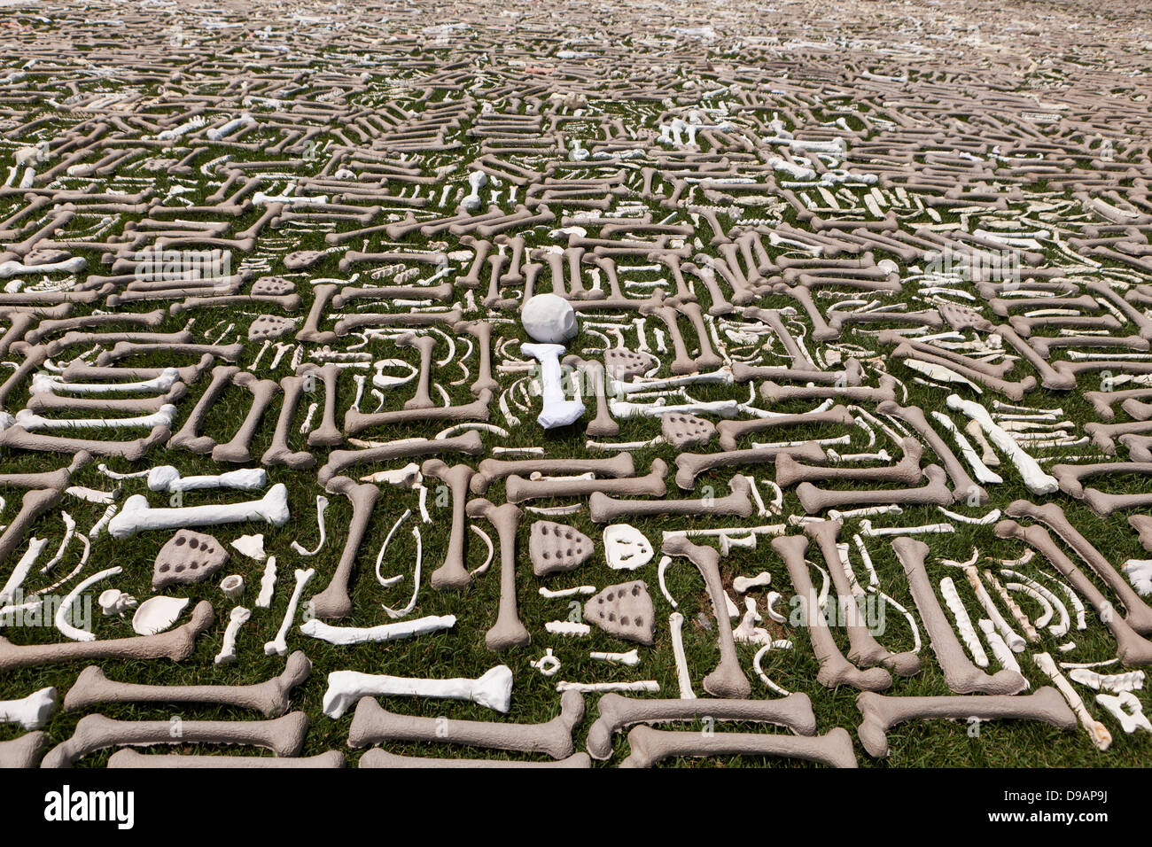 One Million Bones project  for genocide awareness - June 8, 2013, Washington, DC USA Stock Photo