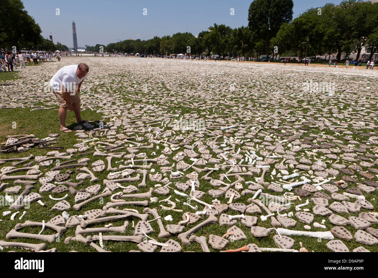One Million Bones project  for genocide awareness - June 8, 2013, Washington, DC USA Stock Photo