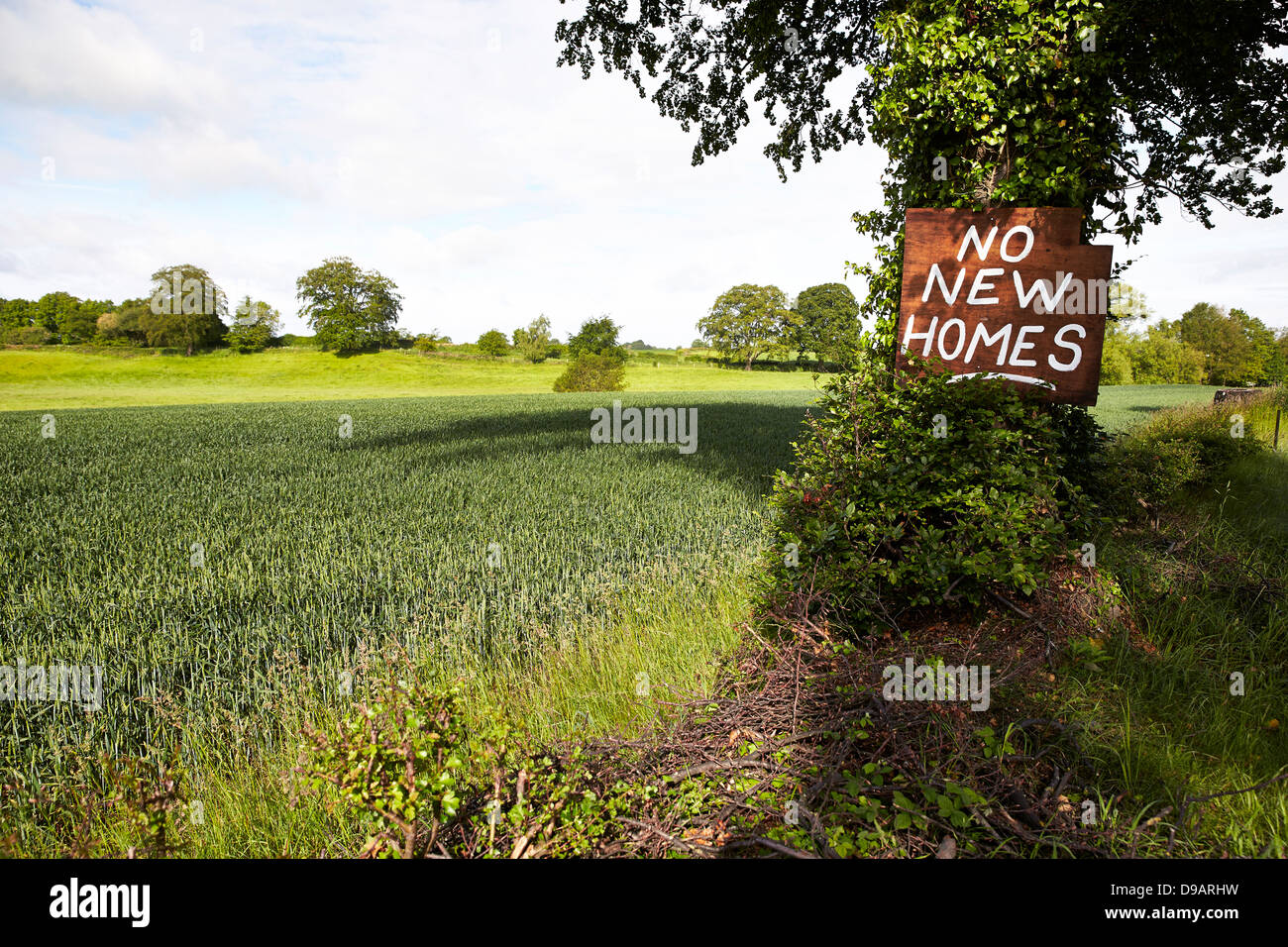No new homes protest sign on the edge of greenbelt land, Congleton, Cheshire. The farmland is marked for new housing development Stock Photo