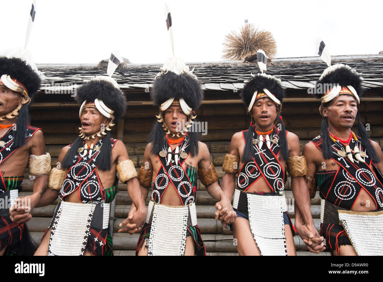 Naga tribal warriors in traditional outfit performing in Hornbill ...