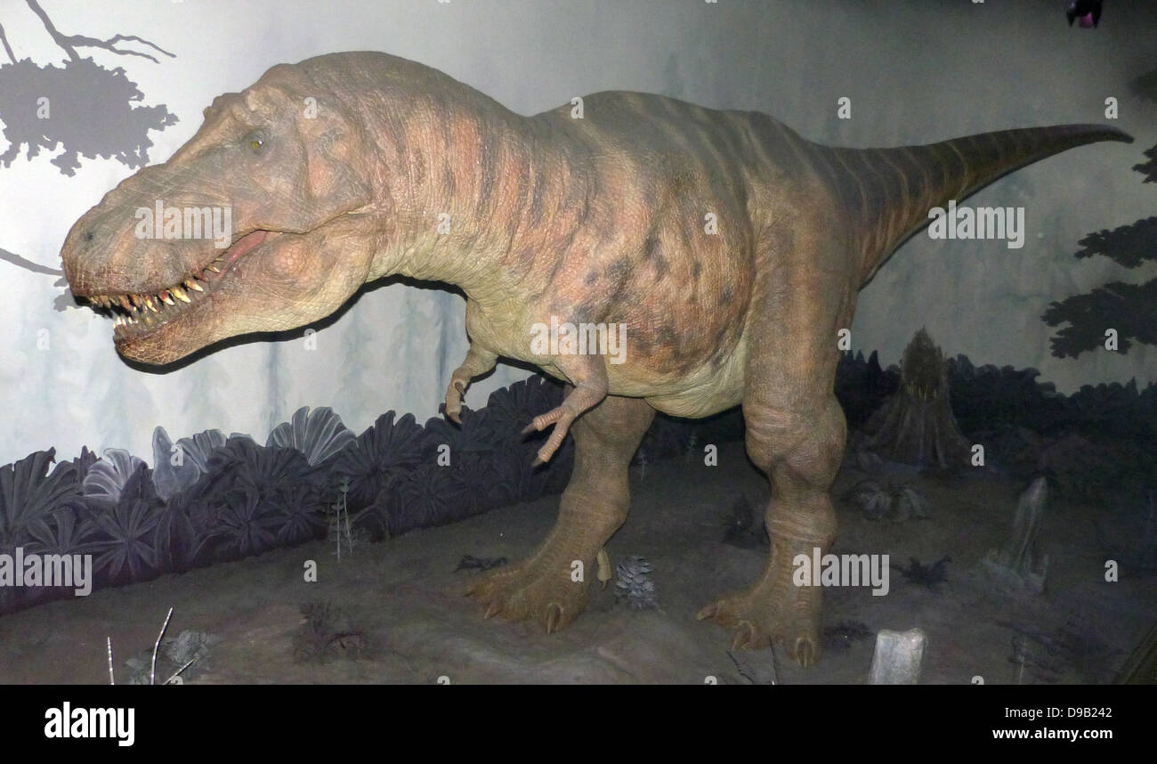 Tyrannosaurus (Tie-ran-oh-sore-us) Tyrant lizard was the largest meat-eater  ever to live on Earth. The whole animal was 12 metres long. It may have  ambushed its prey as well as being a scavenger