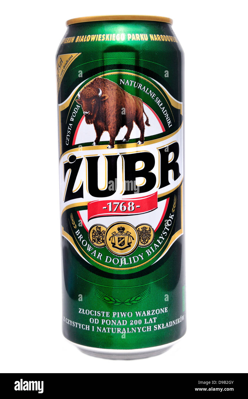 Beer can: Polish 'Zubr' Stock Photo