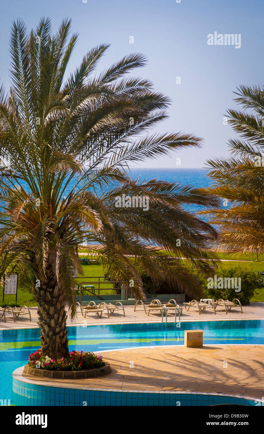 Deserted hotel sun loungers and swimming pool framed by palm trees