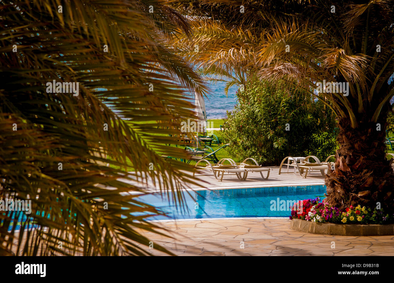 Deserted hotel sun loungers and swimming pool framed by palm trees