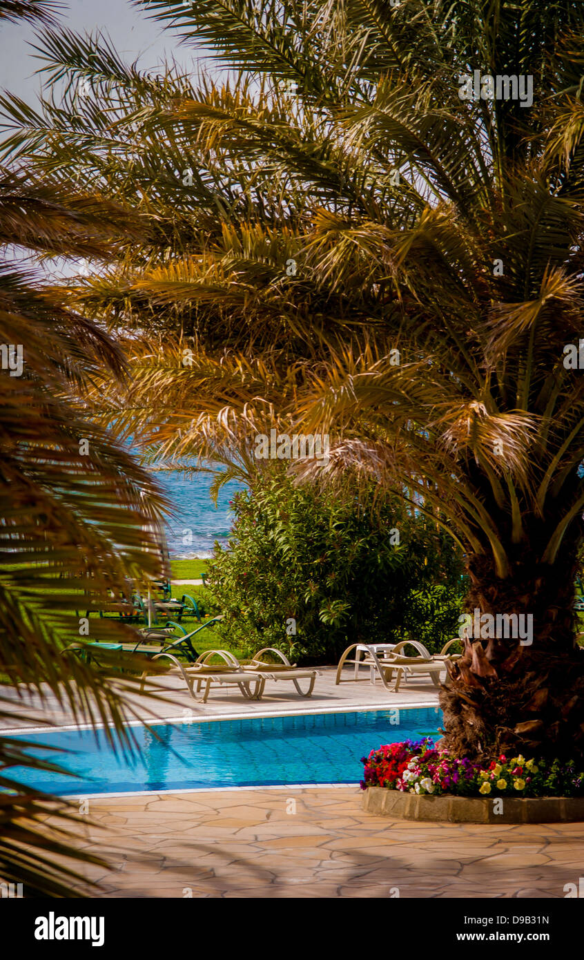 Deserted hotel sun loungers and swimming pool framed by palm trees