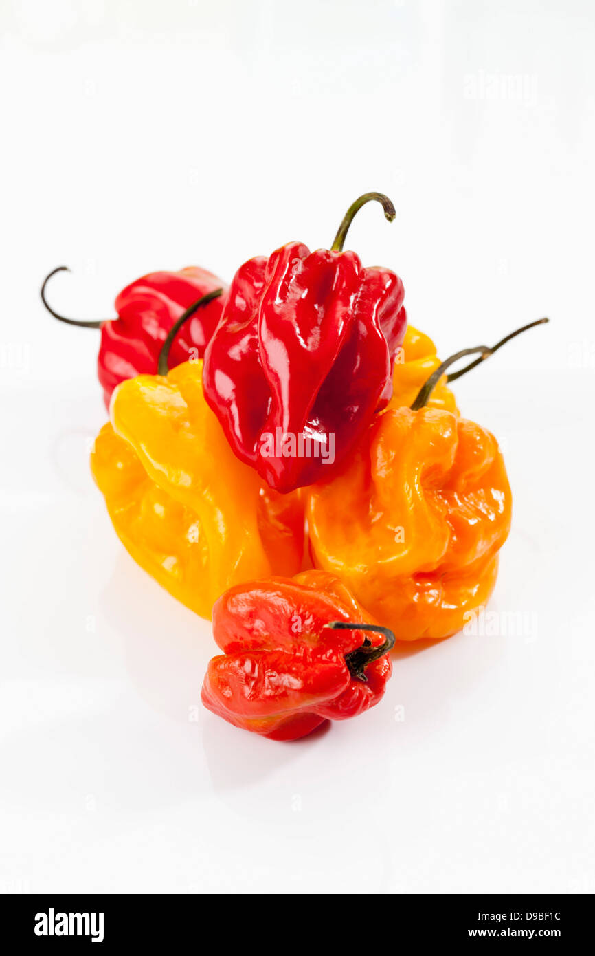 Red and yellow habaneros peppers on white background Stock Photo Alamy