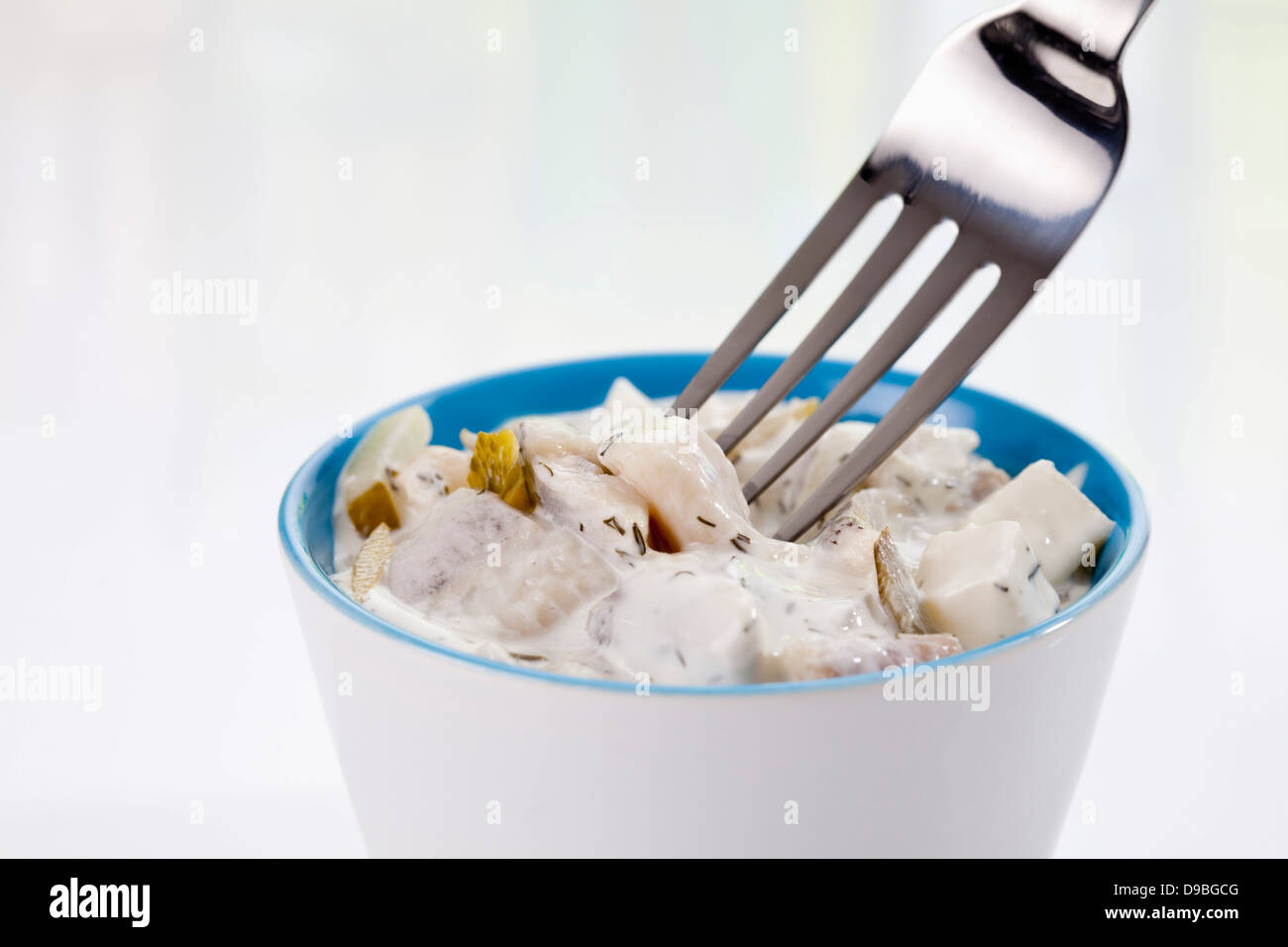 Herring in dill sauce, close-up Stock Photo - Alamy Herring in dill sauce, close-up Stock Photo - Alamy