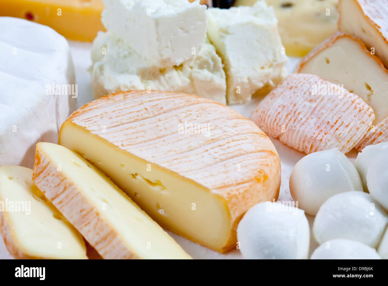 Varieties of cheeses, close up Stock Photo